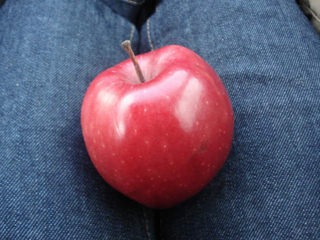 dsc04036.JPG