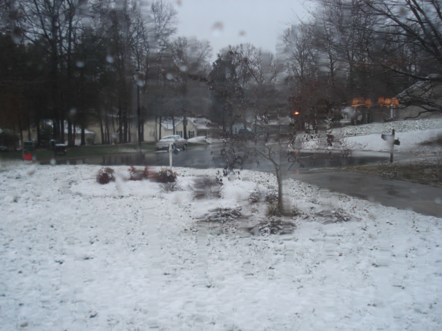 dsc05098.JPG