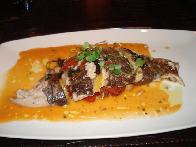 dsc05213.JPG
