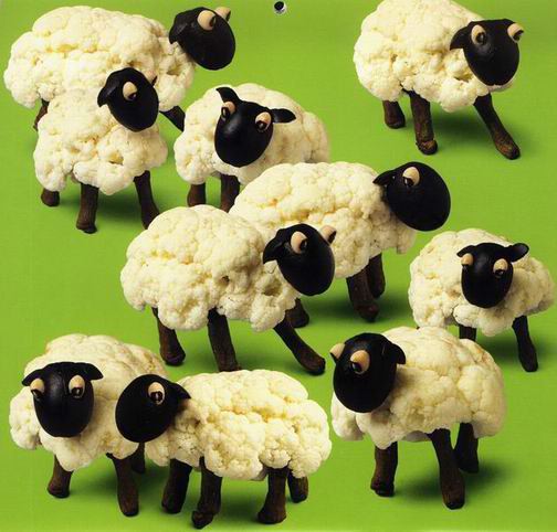 cauli-sheep.jpg