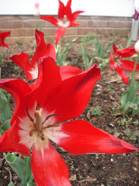 dsc07880.JPG