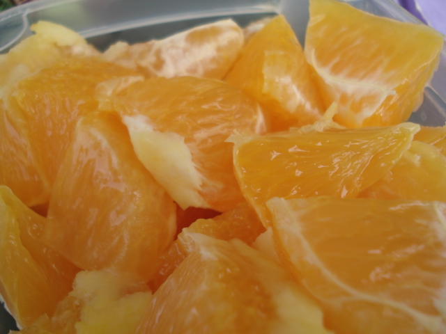 dsc08004.JPG