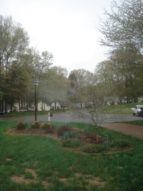 dsc08074.JPG