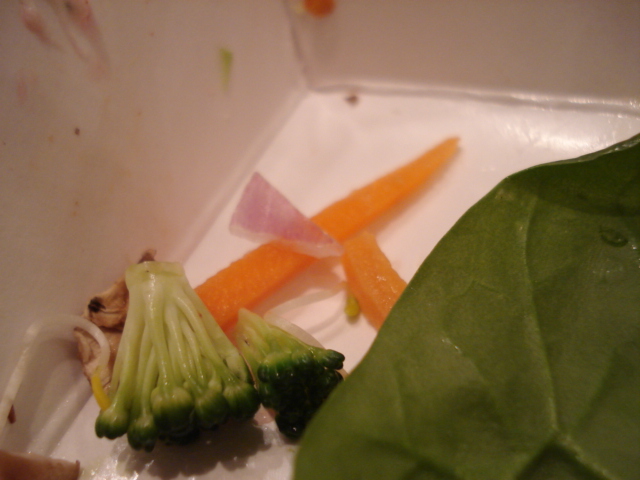dsc08102.JPG
