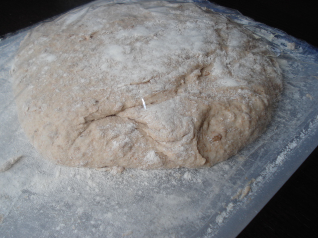 spelt dough during the rise