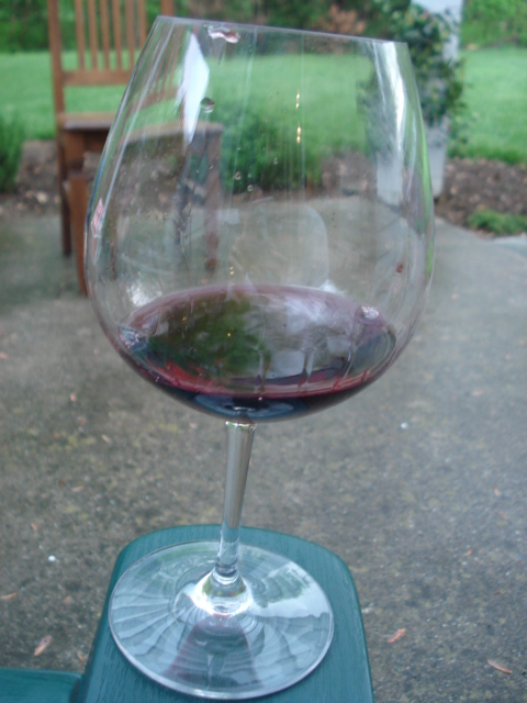 dsc08353.JPG