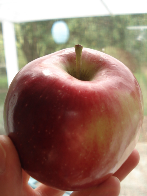dsc08448.JPG