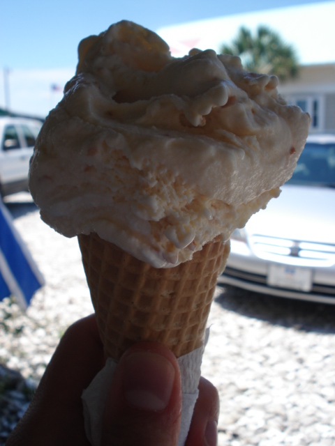 5-lunch-ice-cream.JPG