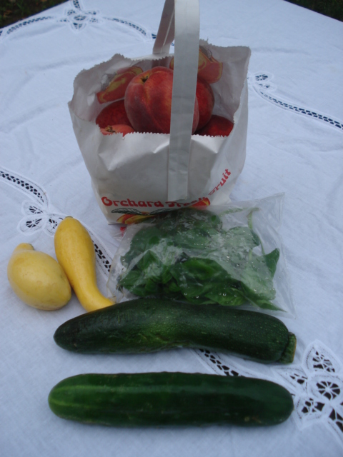 dsc00113.JPG