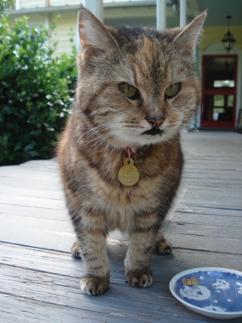 dsc09236.JPG