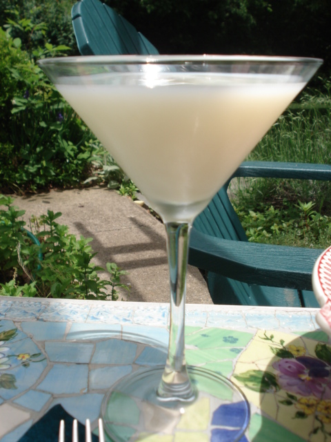dsc09515.JPG