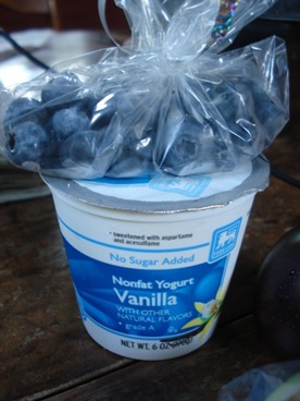 DSC01512