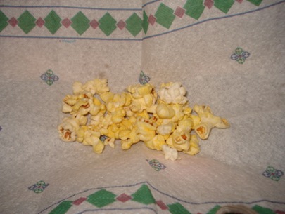 DSC01987