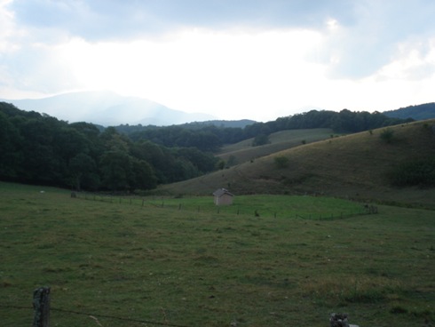 DSC02715
