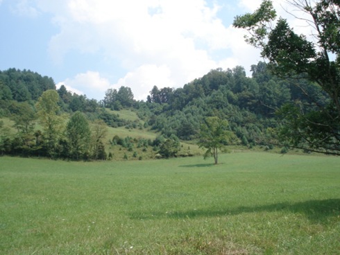 DSC02764