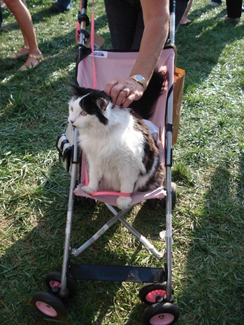 DSC04468