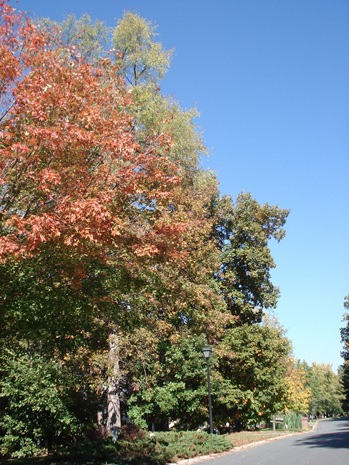 DSC05203