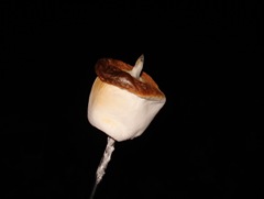 DSC05441