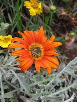IMG_3085 (640x480)