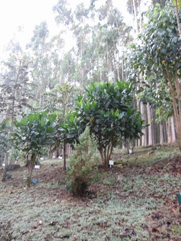 IMG_3434 (640x480)