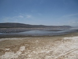 IMG_3487 (640x480)