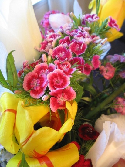 IMG_5125 (800x600)