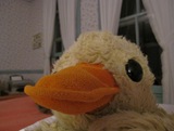 IMG_5919 (1024x768)