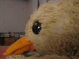 IMG_5921 (1024x768)