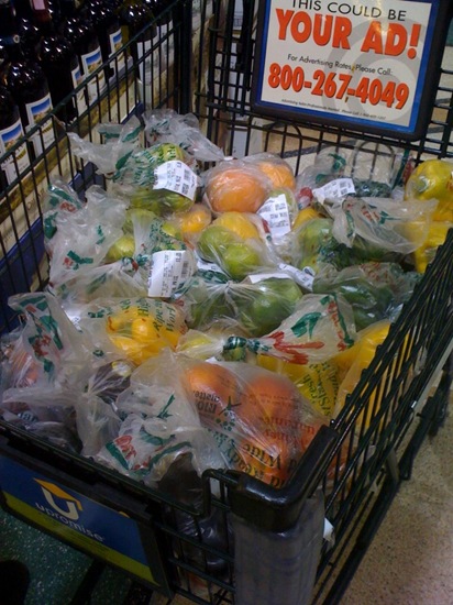 Grocery cart