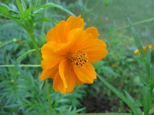 IMG_9438 (1024x768)