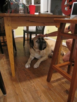 IMG_0308 (480x640)