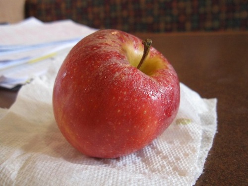 IMG_0024 (640x480)