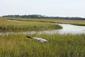 IMG_5088 (640x427)