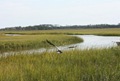 IMG_5090 (640x427)