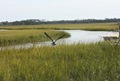 IMG_5091 (640x427)