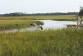 IMG_5092 (640x427)
