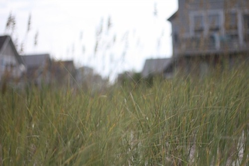 IMG_5250 (640x427)