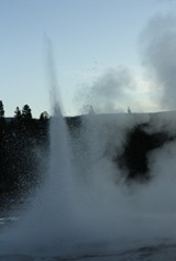 IMG_5942 (427x640)