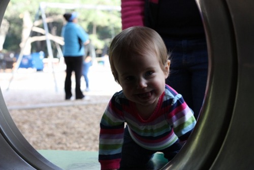 IMG_8445 (640x427)