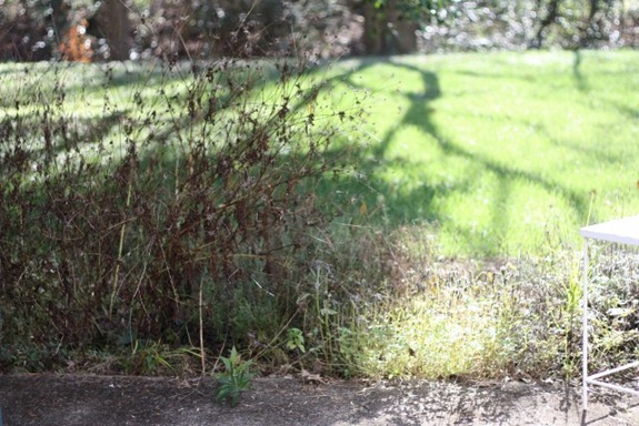 IMG_9999 (640x427)