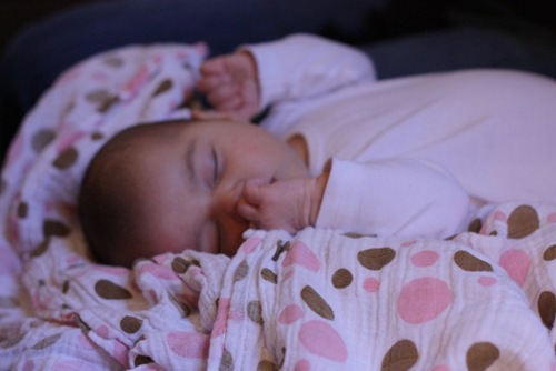 IMG_0349 (640x427)