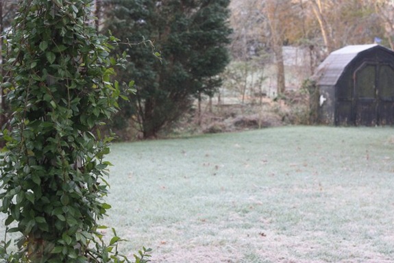IMG_0520 (640x427)