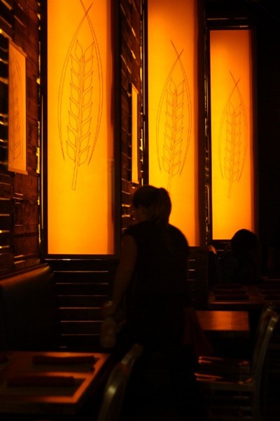 IMG_0831 (640x427)