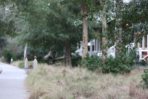 IMG_2292 (640x427)