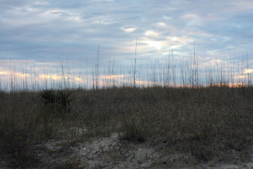 IMG_2294 (640x427)