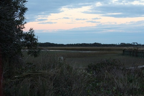 IMG_2302 (640x427)