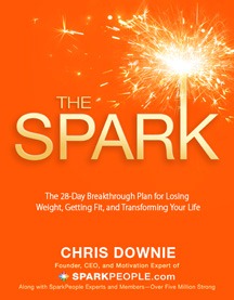 TheSparkCover TheSparkCover