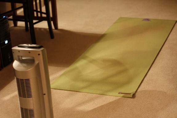 IMG_6016 (640x427)