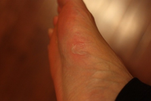 IMG_7225 (640x427)