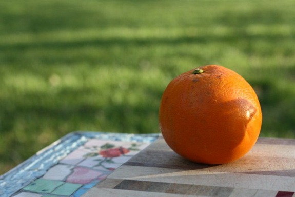 IMG_9270 (640x427)